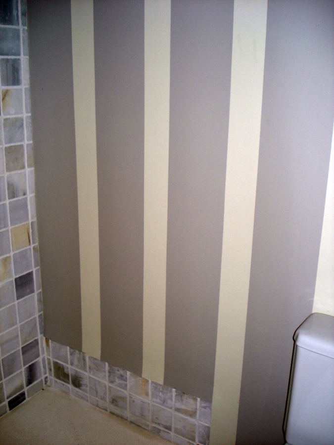 BAÑO RAYAS PINTADO