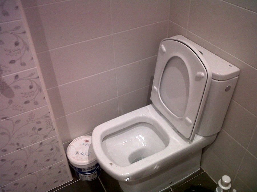 baño2,personalizado con inodoro damas senso compact