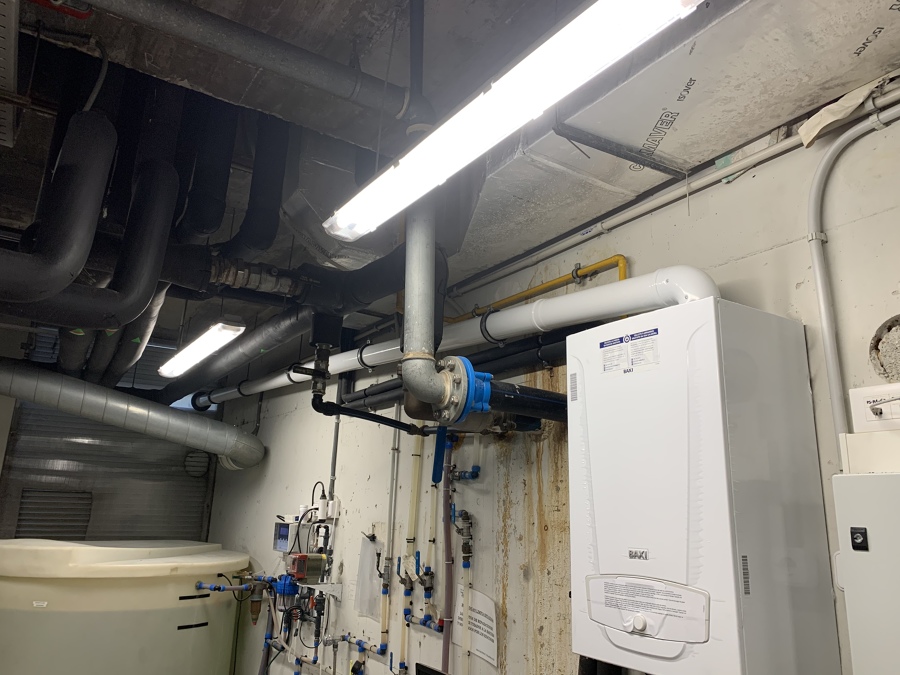 Caldera en cuarto de máquinas