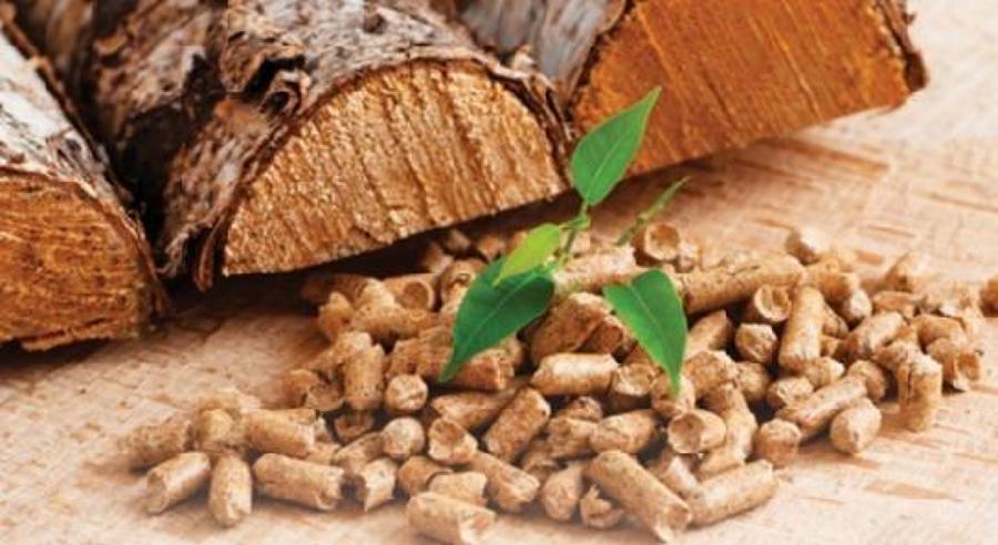 biomasa grupo JUNTASOL