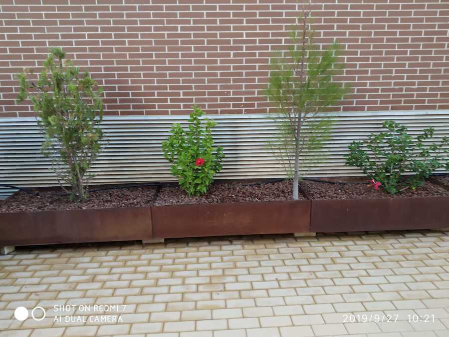 jardin