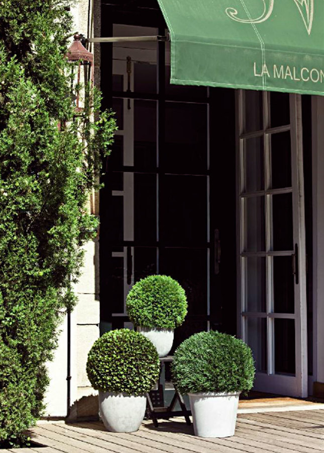 Bolas de boj Artificiales