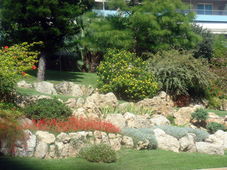 Buscamos diseños que encantan dia tras dia