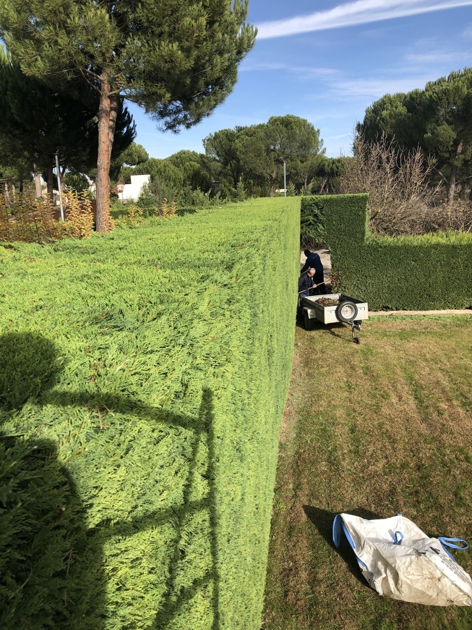 JARDINERIA EN VALLADOLID
