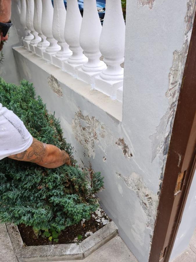 Reparación y pintura exterior de vivienda