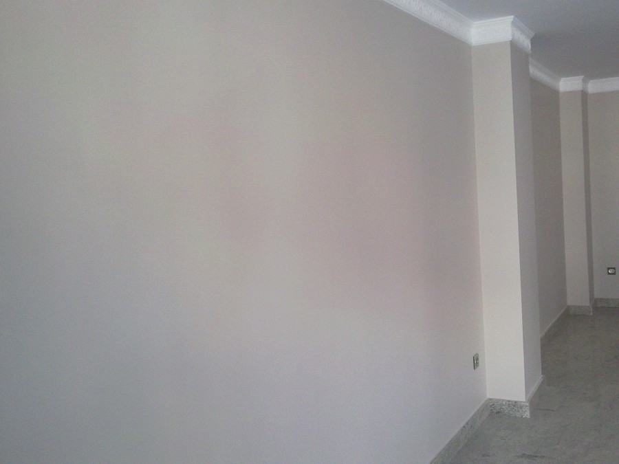 Callosa Pintura lisa salón 02