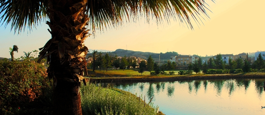 CAMPO DE GOLF LA NORIA