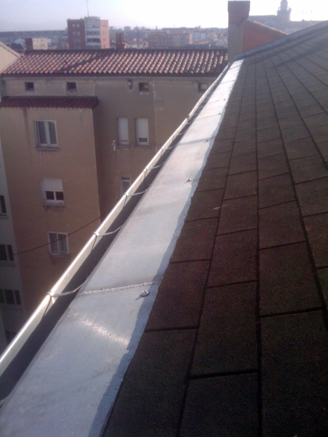 Canalones. Sustitución.