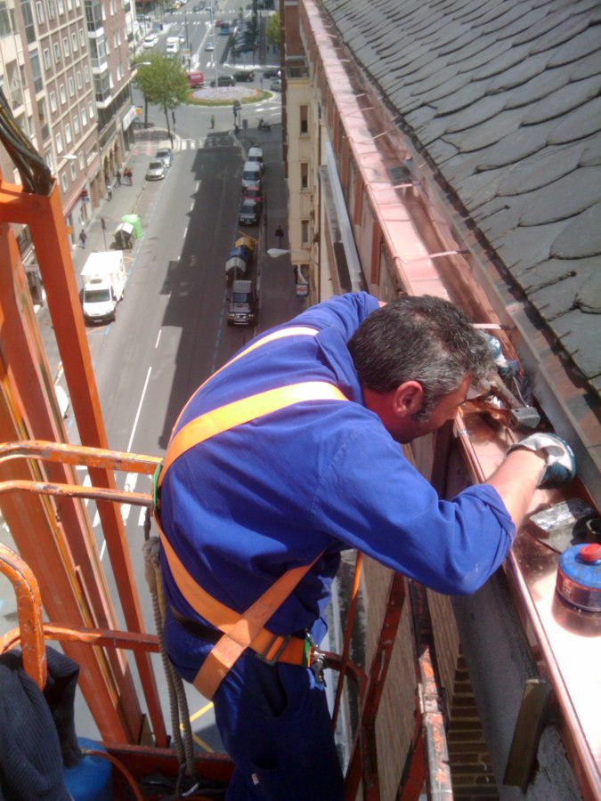 Canalones. Sustitución.