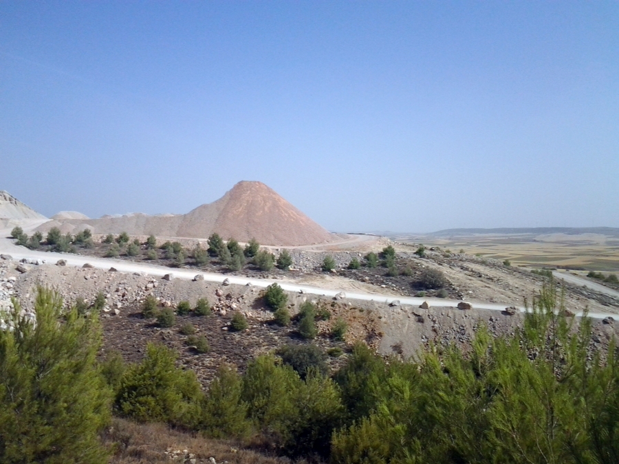 cantera andrea Saelices