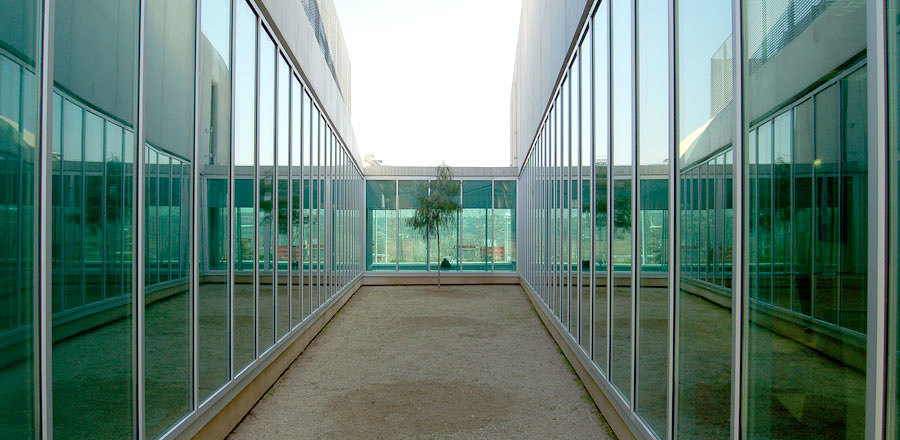 Cap / Sta Eulalia de Ronçana