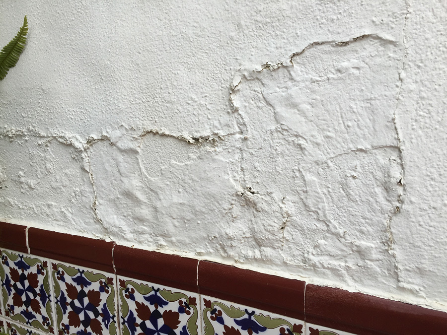 Humedad por Capilaridad