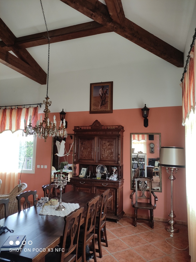Pintura paredes y techo salón