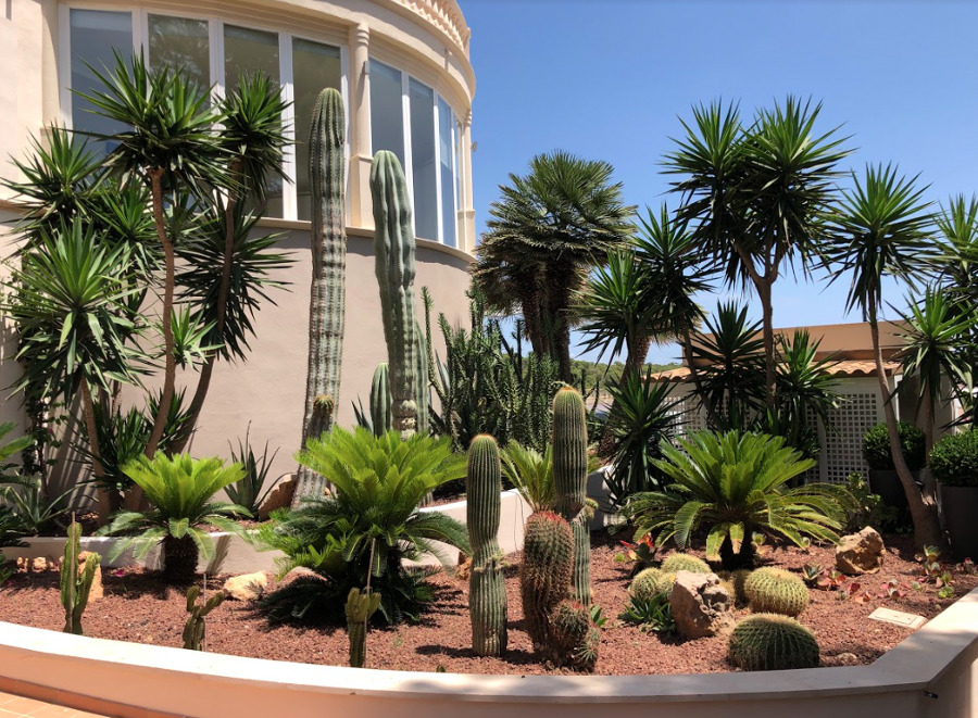 Mantenimiento de Jardín