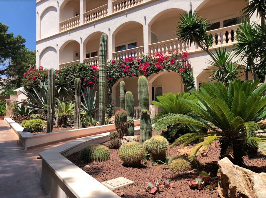 Mantenimiento de Jardín