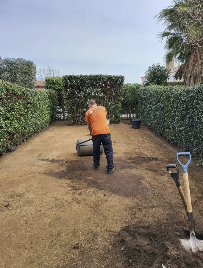 Preparación del terreno