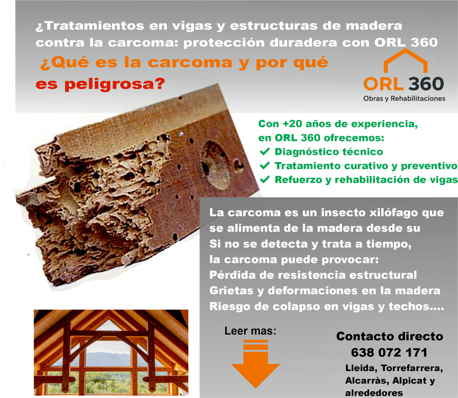 Tratamientos en vigas y estructuras de madera contra la carcoma en Lleida