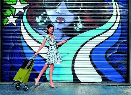 carritos para la compra Rolser