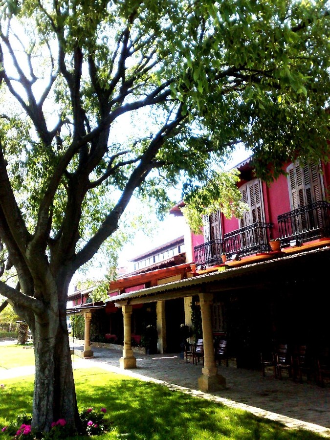 Casa de las Hiedras 1