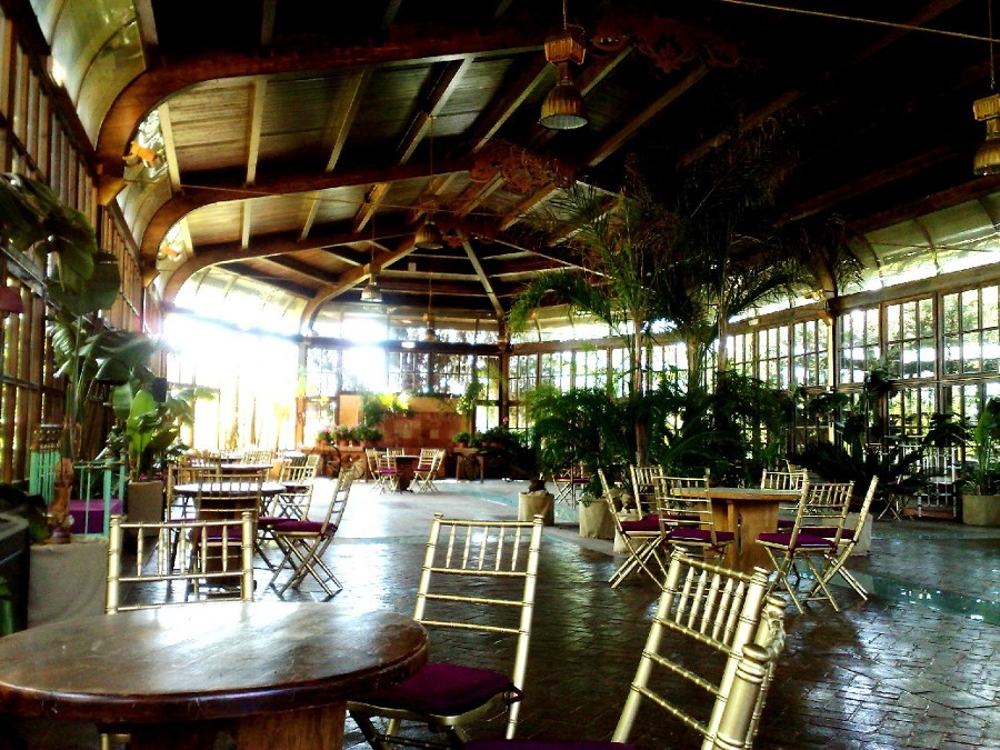 Casa de las Hiedras 2