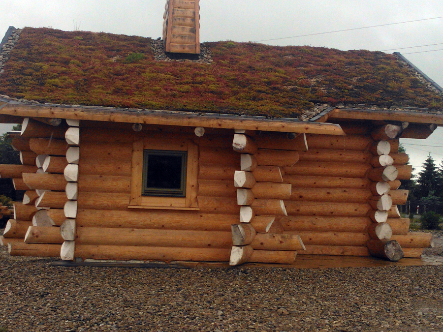 CASA DE TRONCO ENTERO .