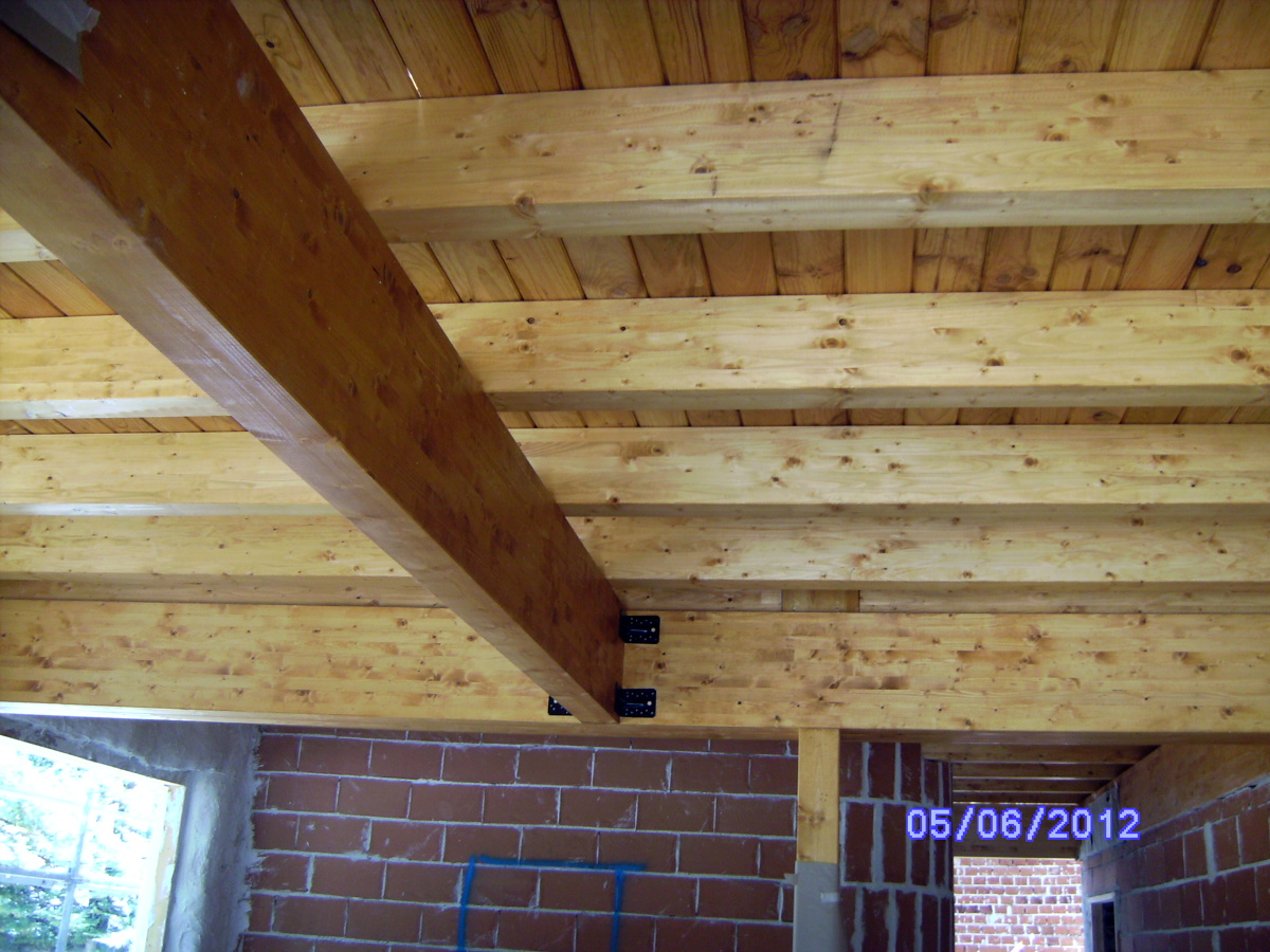 casa ecologica,vigas de madera