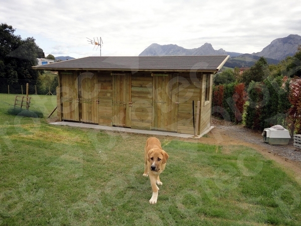 Casetas a medida para perros