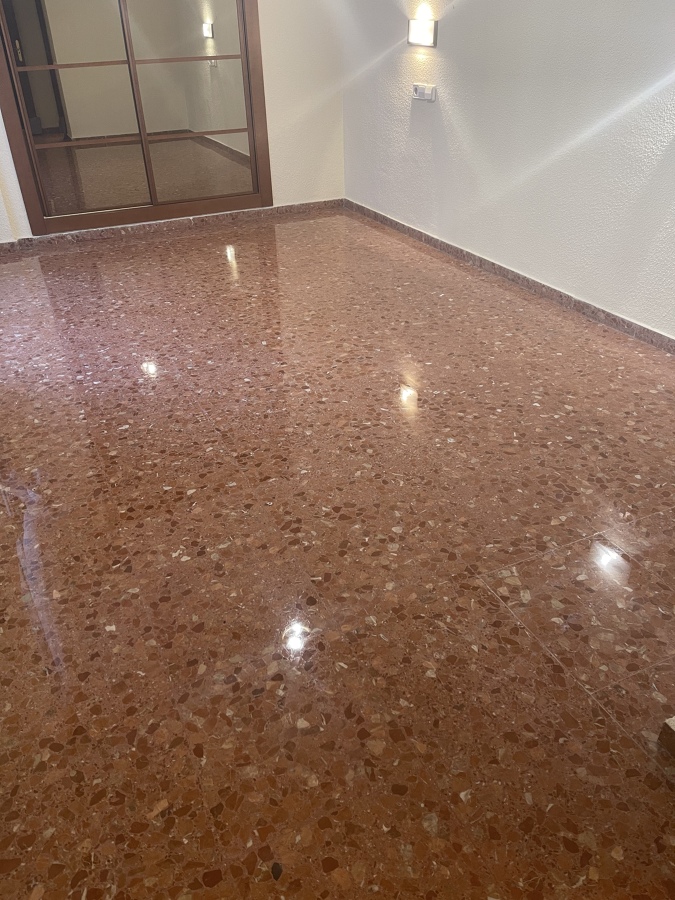 Vitrificados domesticos