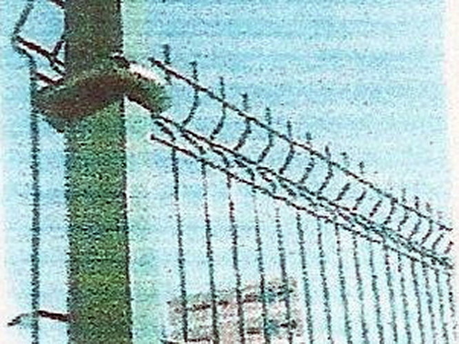 Cerramiento de Jardines