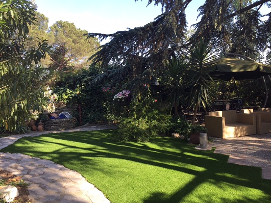  Cedros del Líbano (Las Rozas)