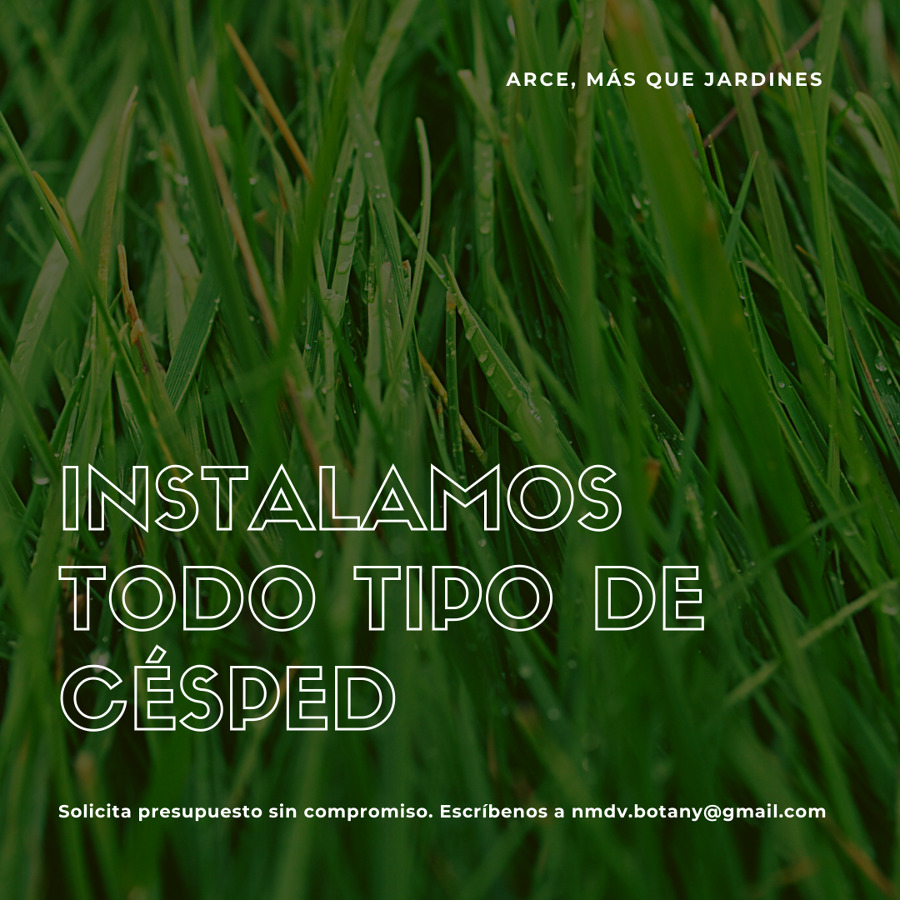 Instalamos todo tipo de césped