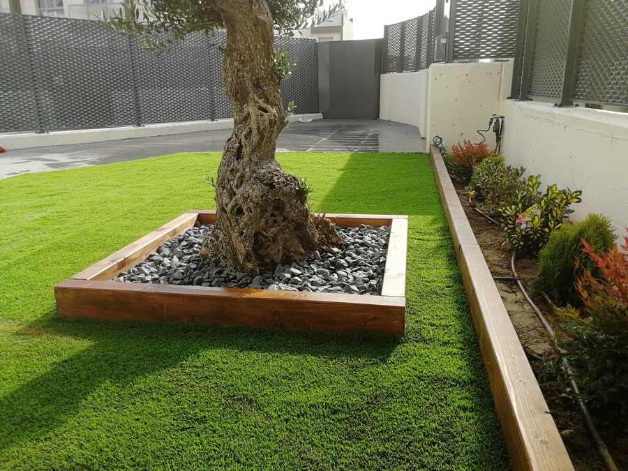 Decoración completa de jardín de entrada