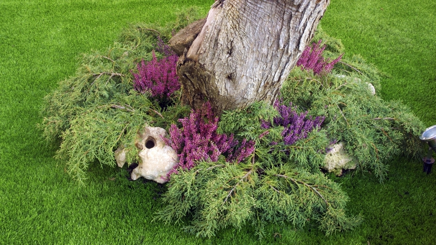 Césped artificial y arbustos naturales