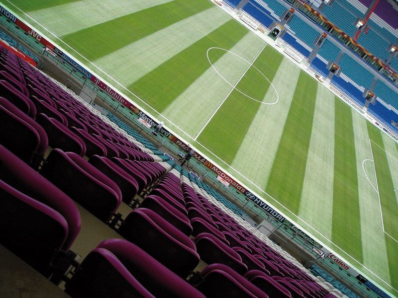 Césped natural - Estadio Faro Portugal