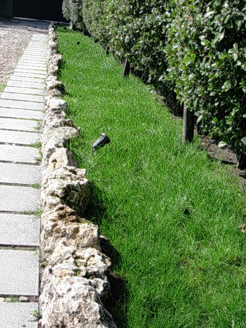 Césped, rocalla e iluminación.