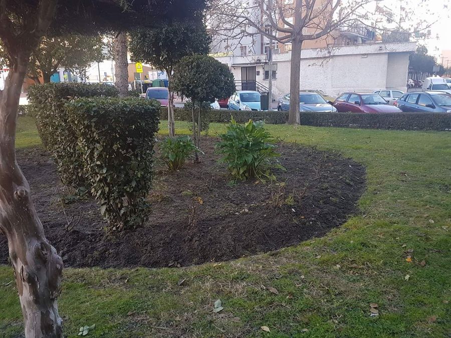 Jardin