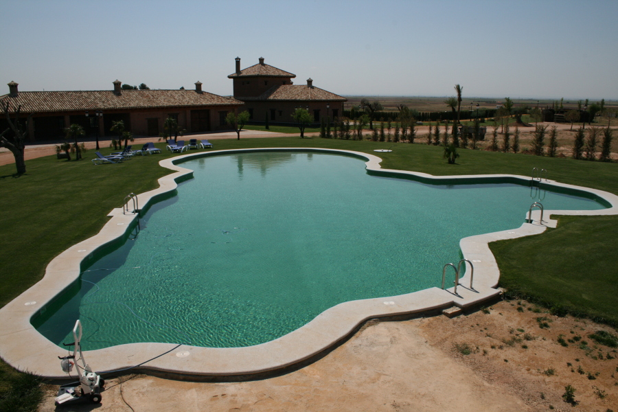 PISCINA IRREGULAR EN CHICLANA