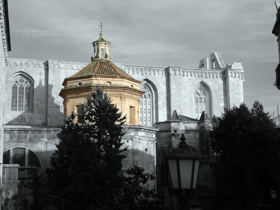 Cimborrio la Purísima ( TGN )