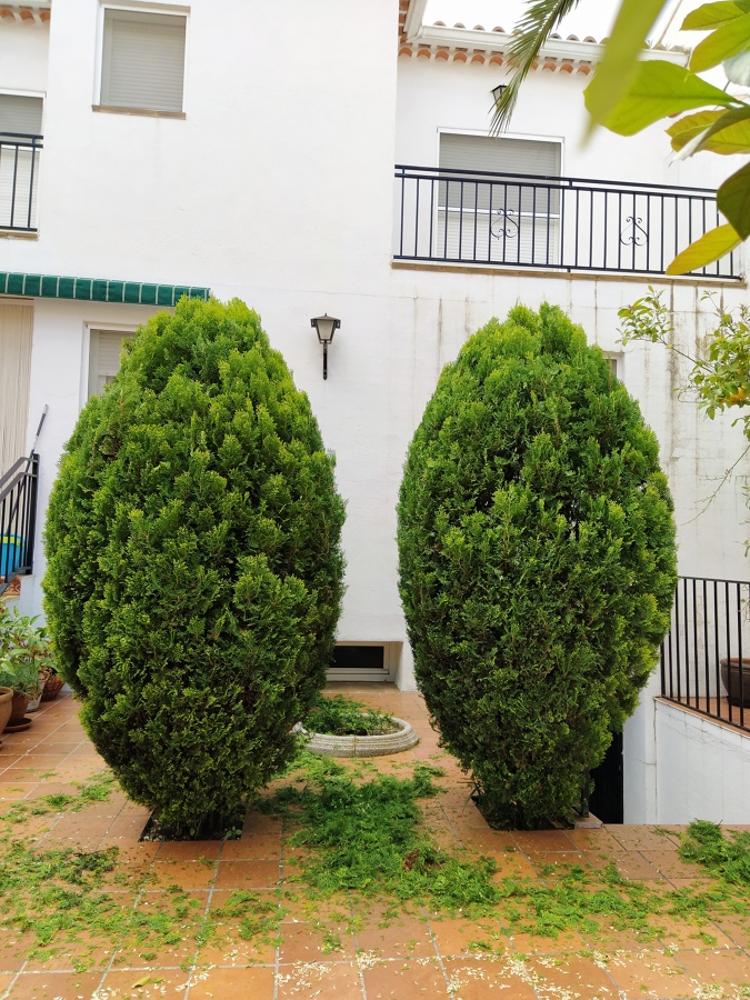 DESPUES