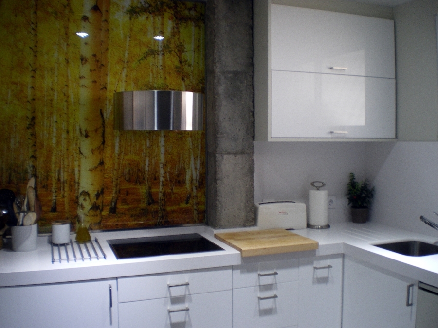 COCINA REFORMADA LOS BERMEJALES (SEVILLA)