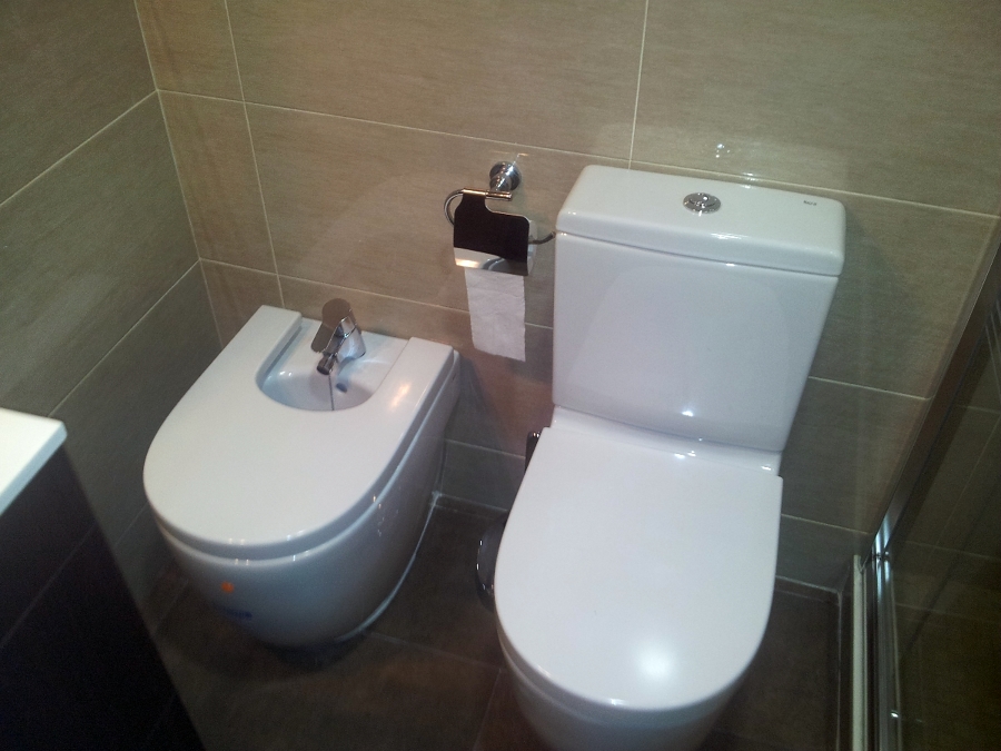 Coleccion de sanitarios ROCA