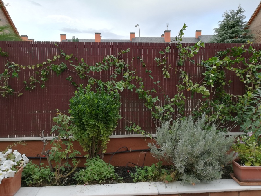 Colocación brezo sintético