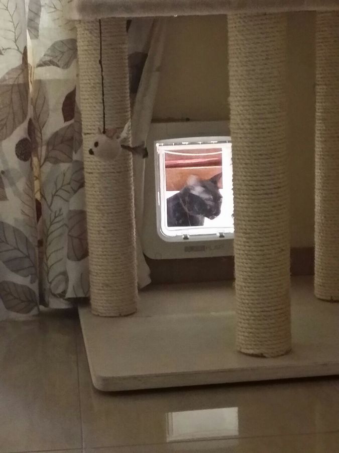 COLOCACION DE UNA GATERA