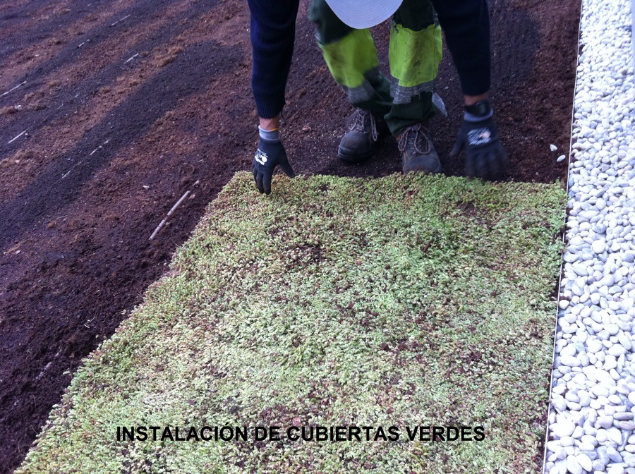 Cubiertas verdes