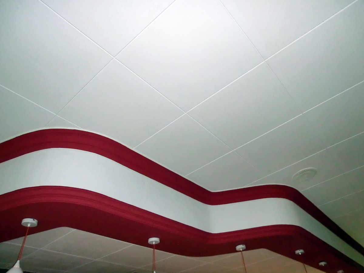 Colocar techos decorativos de 60x60 con molduras. 