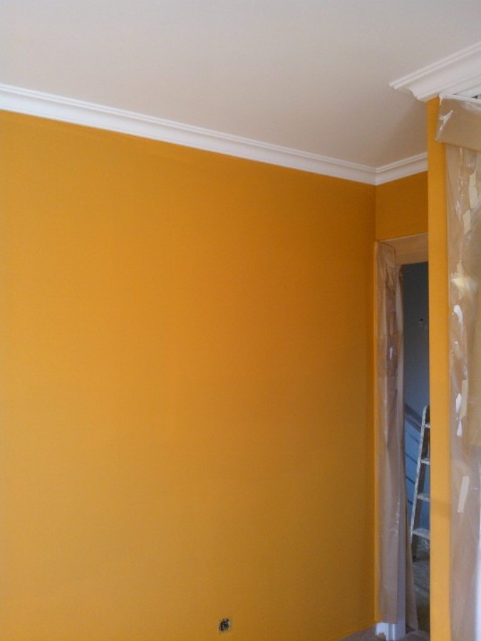 colores.... amarillo huevo!