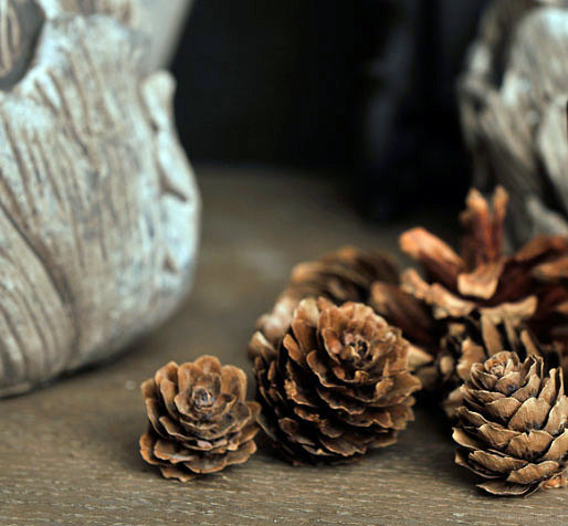 Complementos decorativos