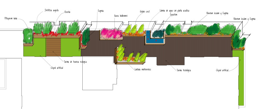 Concpeto de jardín tropical