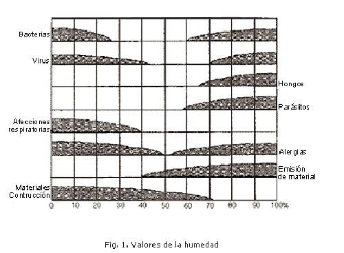 CONSECUENCIAS DE LA HUMEDAD