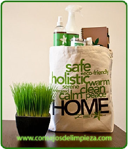 Consejos de Limpieza.